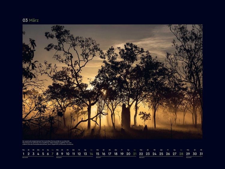 Produktbild: Magische W&auml;lder der Erde - KUNTH Wandkalender 2027
