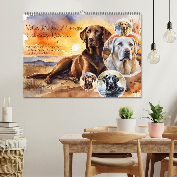Produktbild: Voller Kraft und Energie - Labrador-Retriever (Wandkalender 2026 DIN A2 quer), CALVENDO Monatskalender