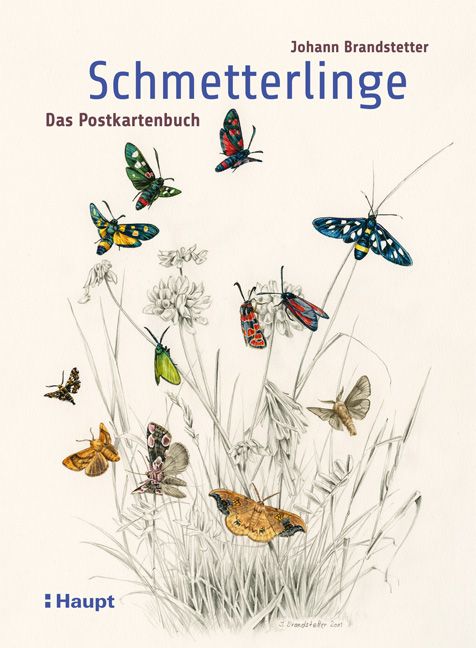 Produktbild: Schmetterlinge - Das Postkartenbuch