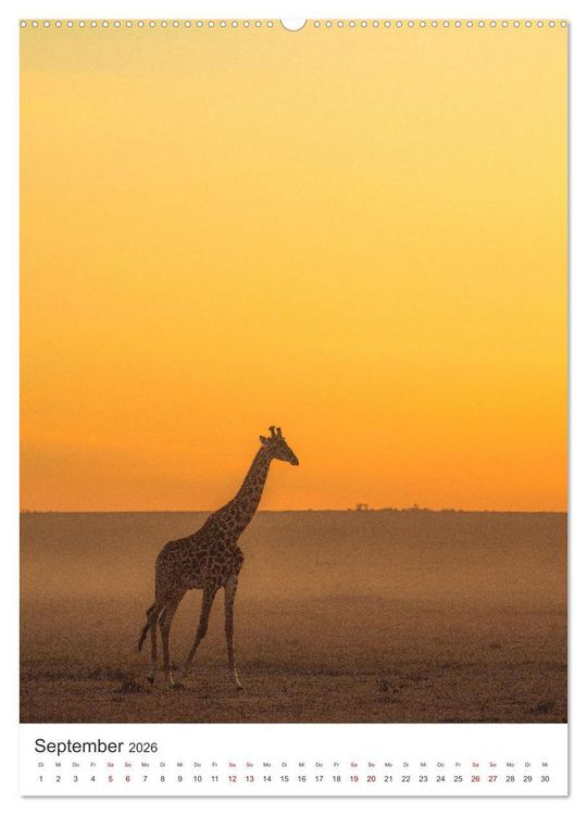 Produktbild: Giraffe - Bemerkenswerte Tiere. (hochwertiger Premium Wandkalender 2026 DIN A2 hoch), Kunstdruck in Hochglanz