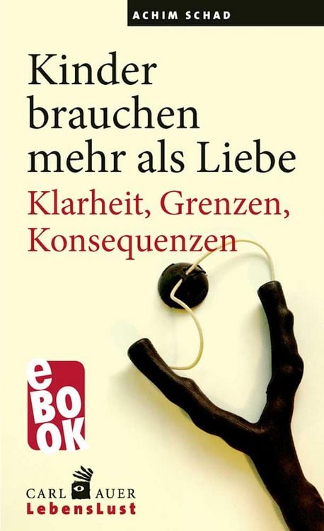 Produktbild: Kinder brauchen mehr als Liebe