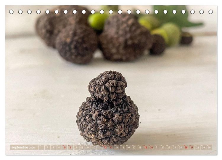 Produktbild: Tr&eacute;sors de truffes fran&ccedil;aises (Calendrier de bureau 2026 DIN A5 vertical), CALVENDO calendrier mensuel