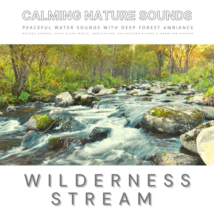 Produktbild: Peaceful Water Sounds With Deep Forest Ambiance: Wilderness Stream & Babbling Brook