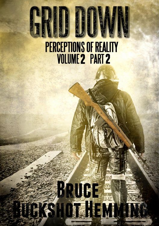 Produktbild: Grid Down Perceptions of Reality (Part 2, #2)