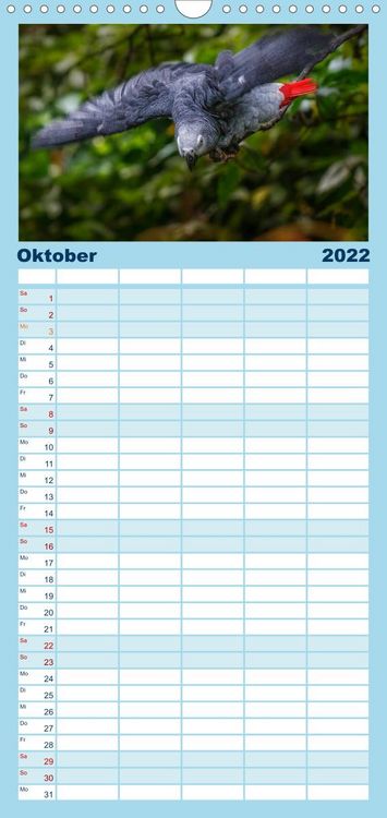 Produktbild: Papageien - Frech, sch&ouml;n und schlau - Familienplaner hoch (Wandkalender 2022 , 21 cm x 45 cm, hoch)