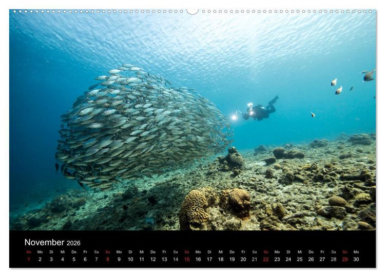 Produktbild: Tanz der Fische (hochwertiger Premium Wandkalender 2026 DIN A2 quer), Kunstdruck in Hochglanz