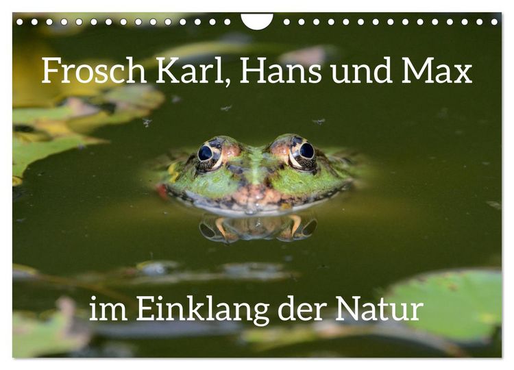 Produktbild: Frosch Karl, Hans und Max im Einklang der Natur (Wandkalender 2026 DIN A4 quer), CALVENDO Monatskalender