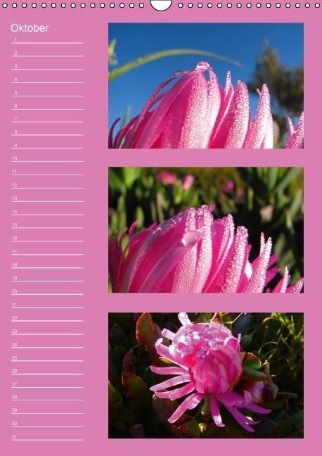 Produktbild: Zauberwelt der Blumen - Eiskristalle & Wasserperlen / Geburtstagskalender (Wandkalender immerw&auml;hrend DIN A3 hoch)