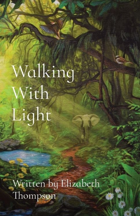 Produktbild: Walking With Light