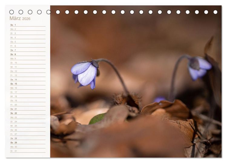 Produktbild: Wenn im Fr&uuml;hling die Natur wieder erwacht (Tischkalender 2026 DIN A5 quer), CALVENDO Monatskalender