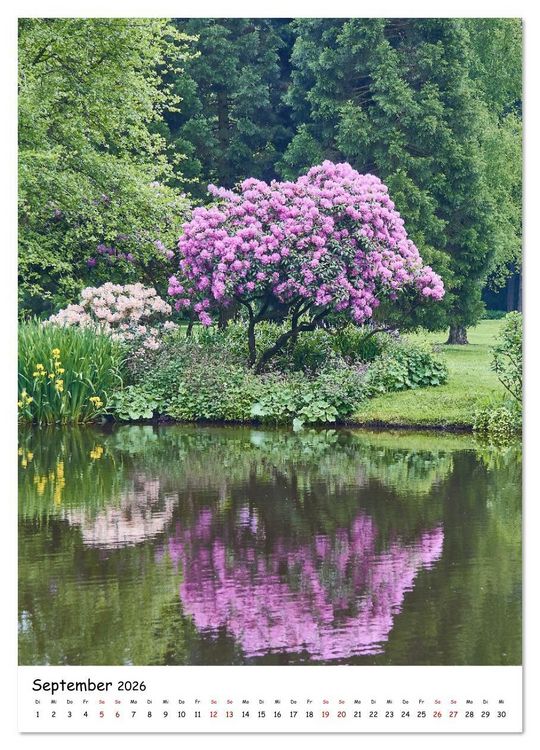 Produktbild: Zauberhafte Rhododendren (Wandkalender 2026 DIN A3 hoch), CALVENDO Monatskalender