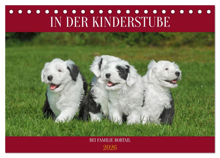 Produktbild: In der Kinderstube bei Familie Bobtail (Tischkalender 2026 DIN A5 quer), CALVENDO Monatskalender
