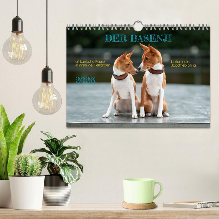 Produktbild: Der Basenji (Wandkalender 2026 DIN A4 quer), CALVENDO Monatskalender