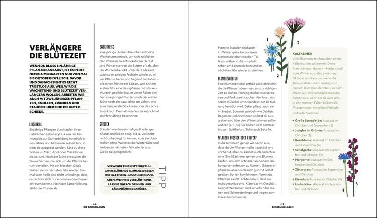 Produktbild: Blumenzauber &ndash; Mein bl&uuml;hendes Paradies auf Balkon und Terrasse