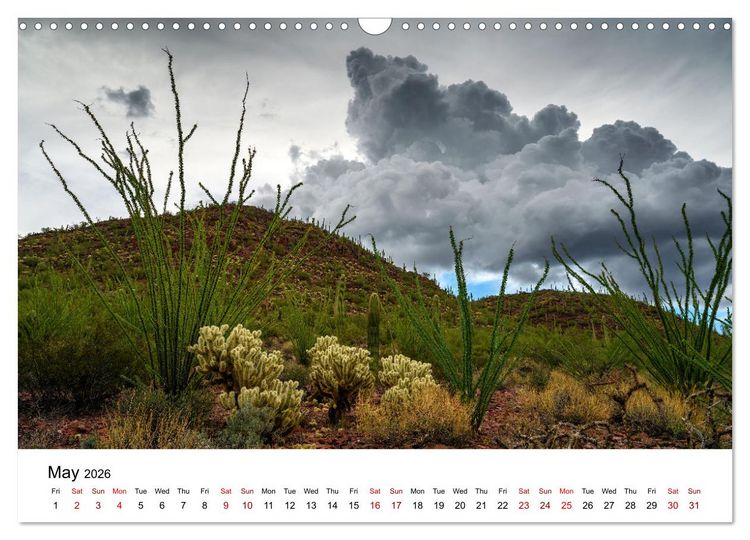 Produktbild: America&rsquo;s Most Beautiful Sceneries (Wall Calendar 2026 DIN A3 landscape), CALVENDO 12 Month Wall Calendar