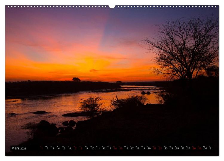 Produktbild: Tansania - Tierwanderung in der Serengeti (hochwertiger Premium Wandkalender 2026 DIN A2 quer), Kunstdruck in Hochglanz