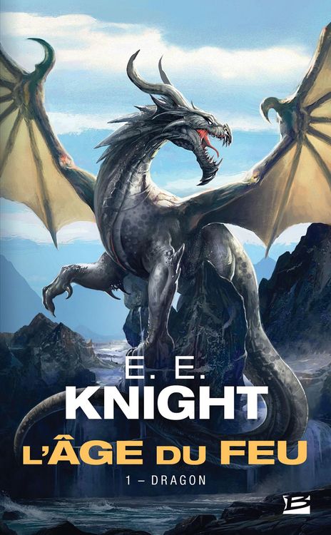 Produktbild: L'&Acirc;ge du feu, T1 : Dragon
