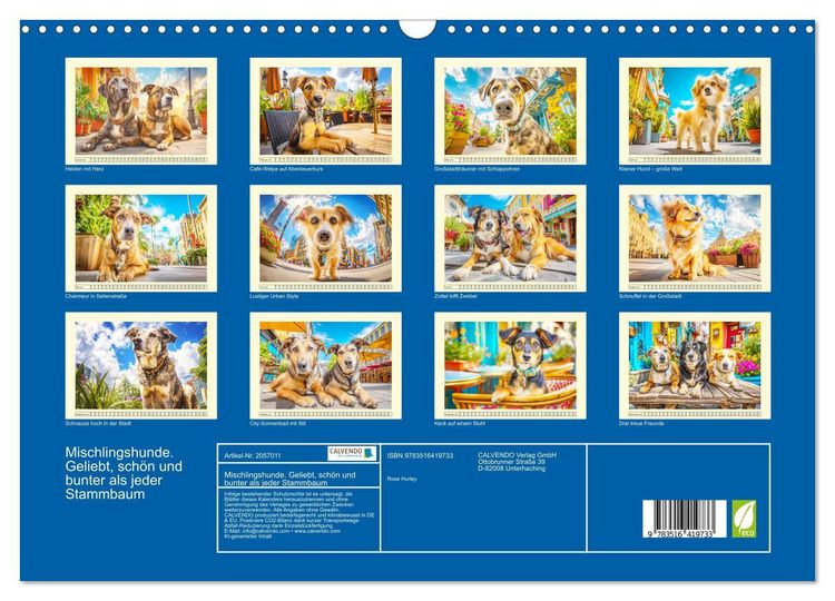 Produktbild: Mischlingshunde. Geliebt, sch&ouml;n und bunter als jeder Stammbaum (Wandkalender 2026 DIN A3 quer), CALVENDO Monatskalender