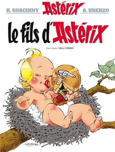 Produktbild: Fils d'Ast&eacute;rix 9782864970118