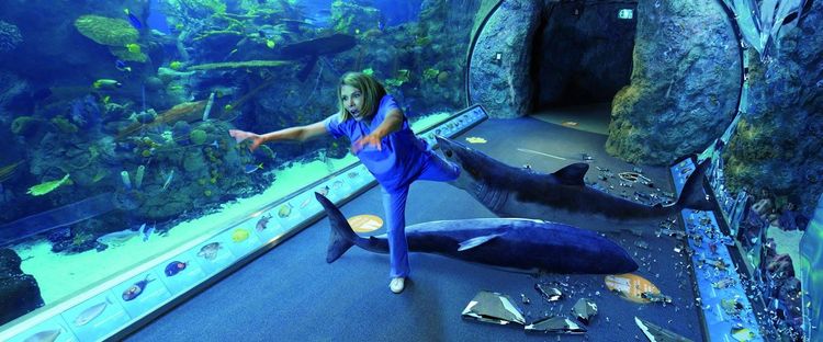 Produktbild: Aquarium of the Dead