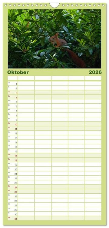 Produktbild: Familienplaner 2026 - Spa&szlig; mit Eichh&ouml;rnchen-Kindern mit 5 Spalten (Wandkalender, 21 x 45 cm) CALVENDO