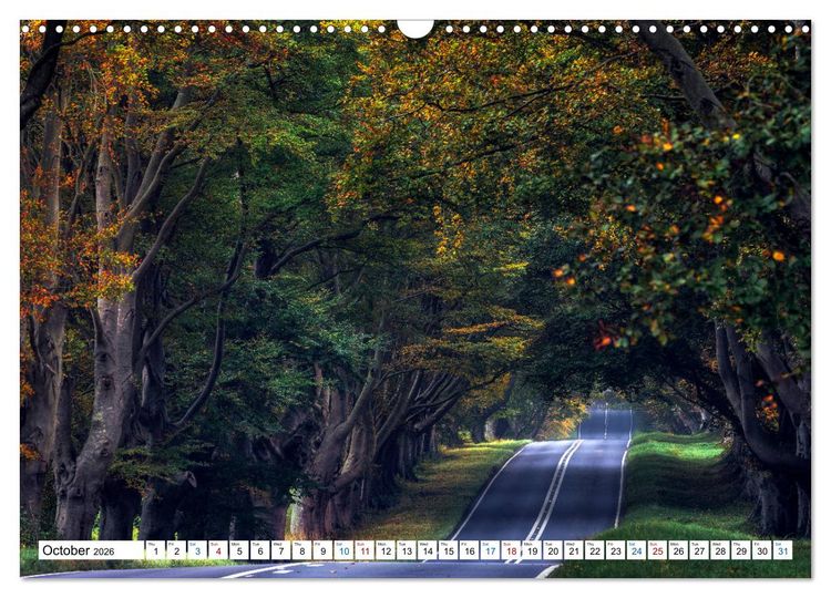 Produktbild: Dorset (Wall Calendar 2026 DIN A3 landscape), CALVENDO 12 Month Wall Calendar