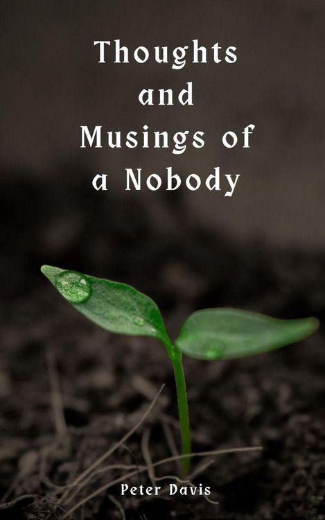 Produktbild: Thoughts and Musings of a Nobody