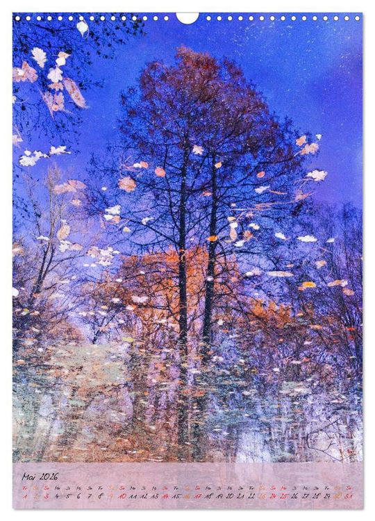 Produktbild: Wo der Wald tr&auml;umt (Wandkalender 2026 DIN A3 hoch), CALVENDO Monatskalender