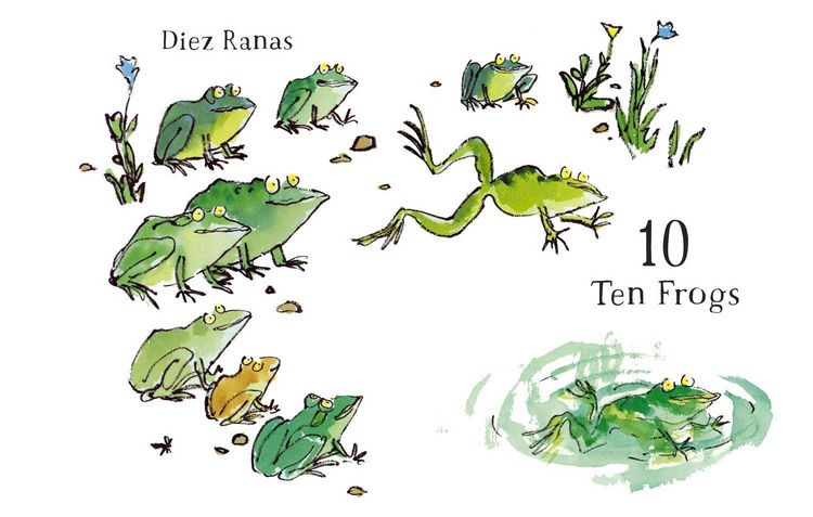 Produktbild: TEN FROGS HB