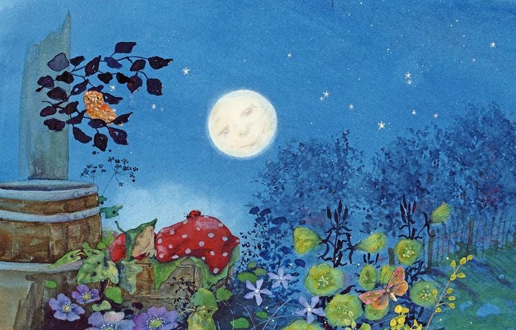 Produktbild: Giesberts kleiner Garten
