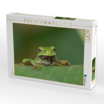 Produktbild: CALVENDO Puzzle Gib nie auf! | 1000 Teile Lege-Gr&ouml;&szlig;e 64x48cm Foto-Puzzle f&uuml;r gl&uuml;ckliche Stunden