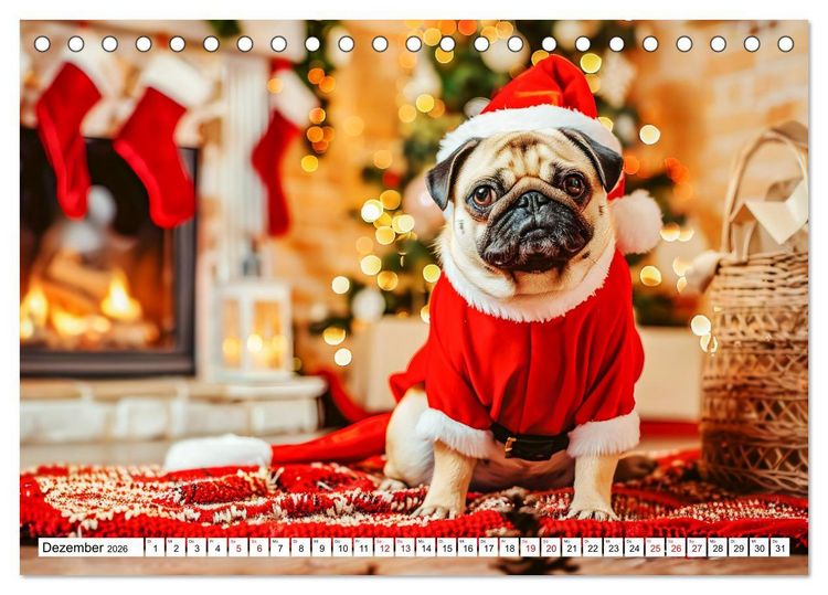 Produktbild: Mops-Mania - Der Spa&szlig;kalender f&uuml;r Mops-Fans (Tischkalender 2026 DIN A5 quer), CALVENDO Monatskalender
