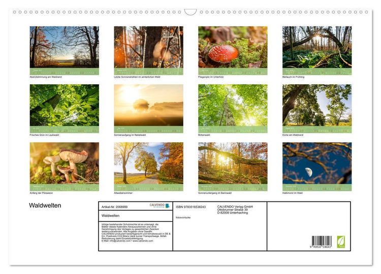 Produktbild: Waldwelten (Wandkalender 2026 DIN A2 quer), CALVENDO Monatskalender