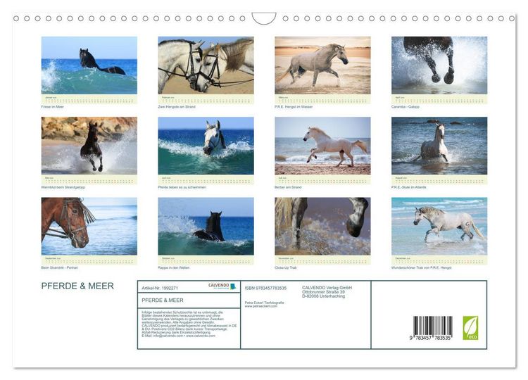 Produktbild: PFERDE & MEER (Wandkalender 2026 DIN A3 quer), CALVENDO Monatskalender