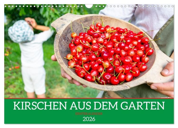 Produktbild: Kirschen aus dem Garten &ndash; Erntekalender (Wandkalender 2026 DIN A3 quer), CALVENDO Monatskalender