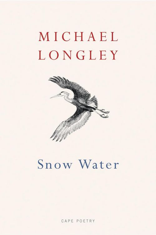 Produktbild: Snow Water