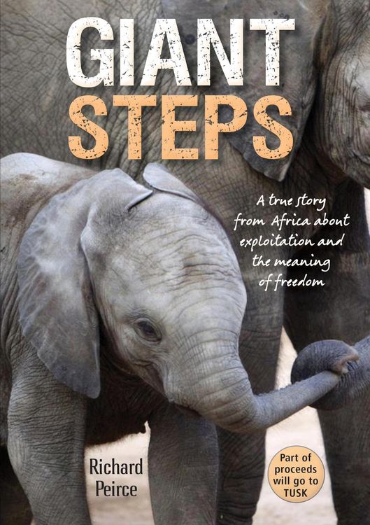Produktbild: Giant Steps