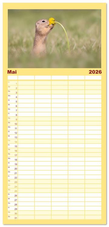 Produktbild: Familienplaner 2026 - Zauberhafte Ziesel mit 5 Spalten (Wandkalender, 21 x 45 cm) CALVENDO