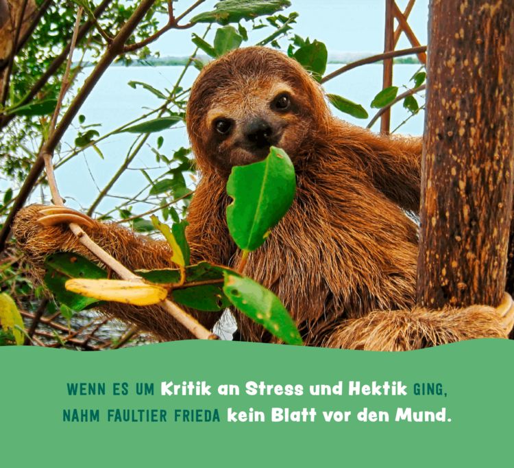 Produktbild: Tierisch gechillt!