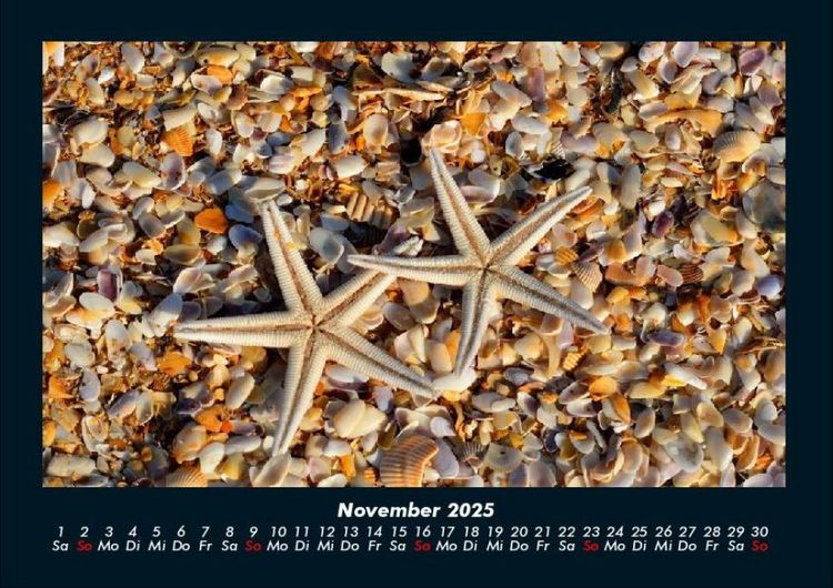 Produktbild: Sehnsucht nach Meer 2025 Fotokalender DIN A4