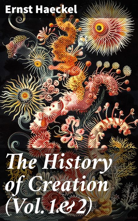 Produktbild: The History of Creation (Vol.1&2)