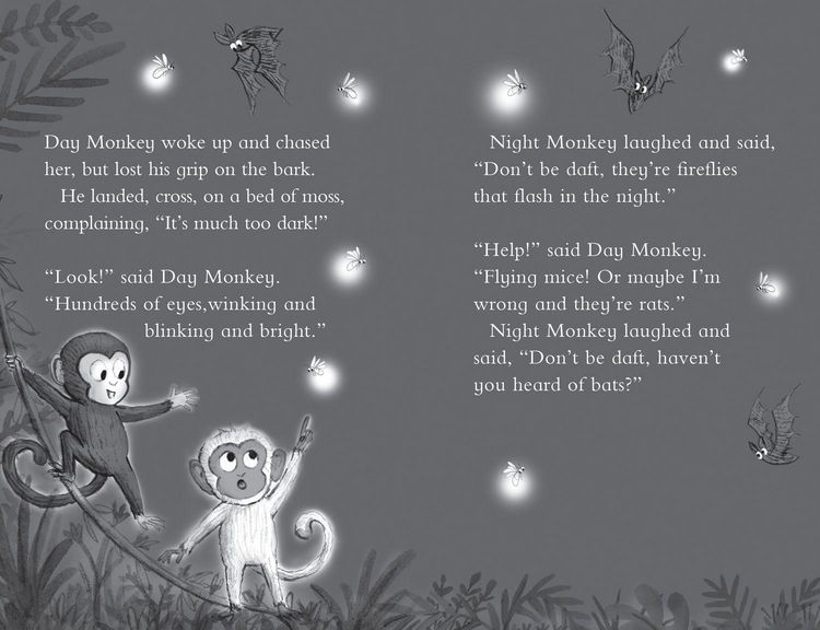 Produktbild: JULIA DONALDSONS BK OF PB