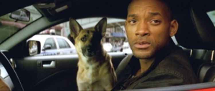 Produktbild: I Am Legend (4K Ultra HD)