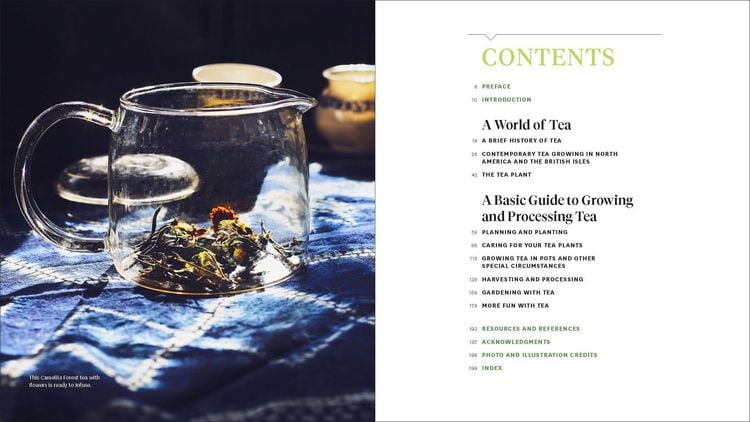 Produktbild: Grow Your Own Tea