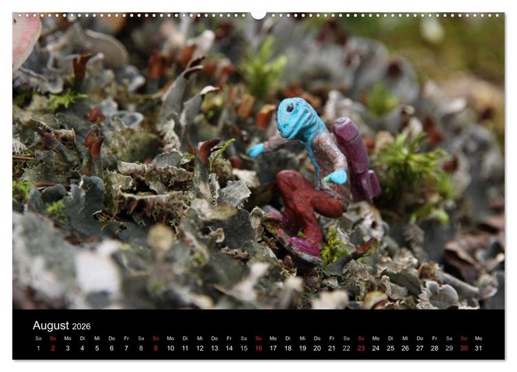 Produktbild: Micro Dino Skaters 2026 (Wandkalender 2026 DIN A2 quer), CALVENDO Monatskalender