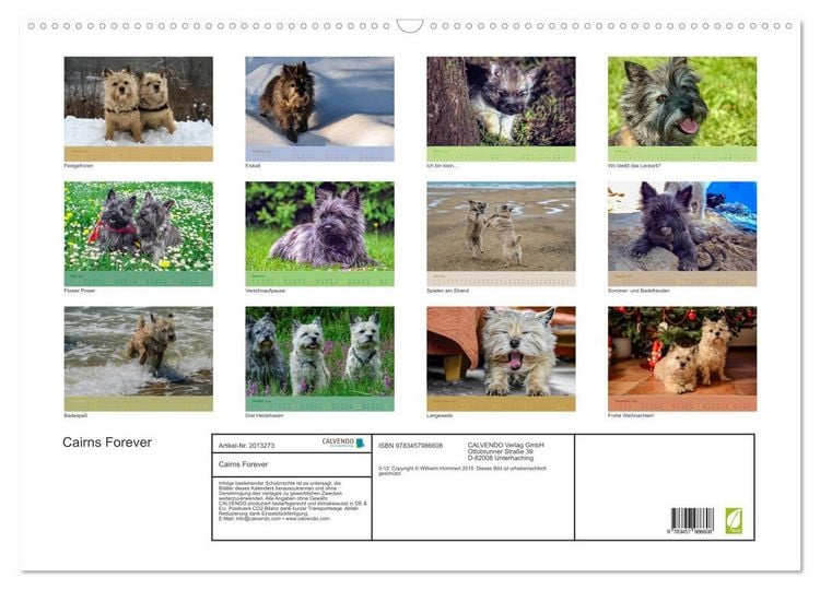 Produktbild: Cairns Forever (Wandkalender 2026 DIN A2 quer), CALVENDO Monatskalender