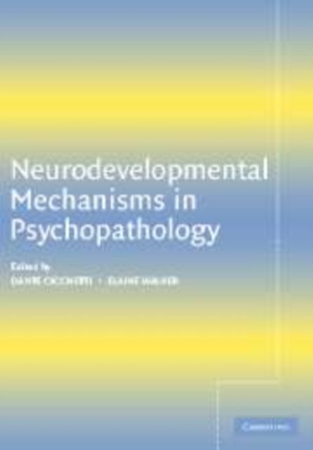 Produktbild: Neurodevelopmental Mechanisms in Psychopathology