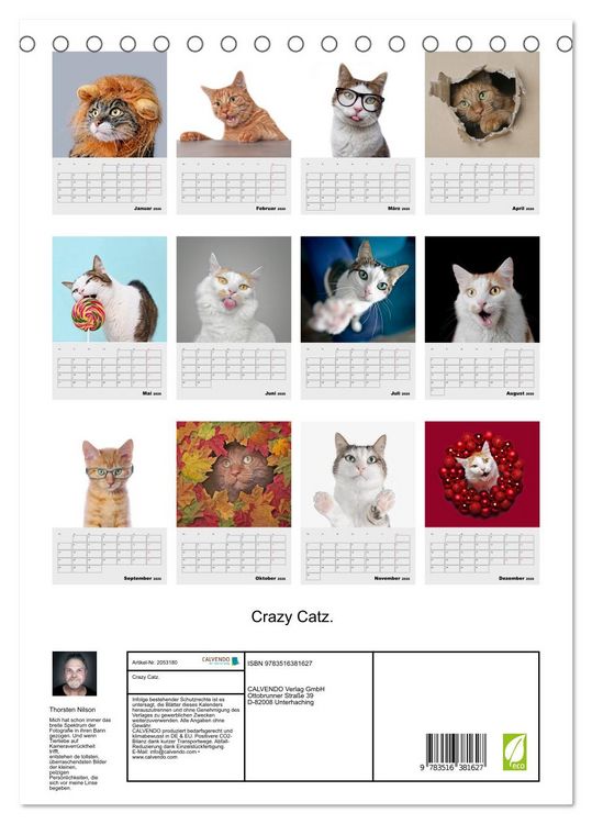 Produktbild: Crazy Catz. (Tischkalender 2026 DIN A5 hoch), CALVENDO Monatskalender