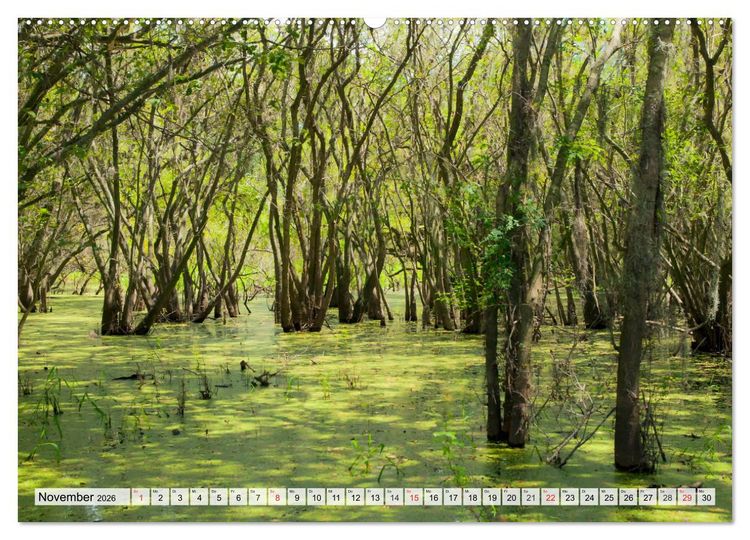 Produktbild: FLORIDA Paradiesischer Sonnenscheinstaat (Wandkalender 2026 DIN A2 quer), CALVENDO Monatskalender