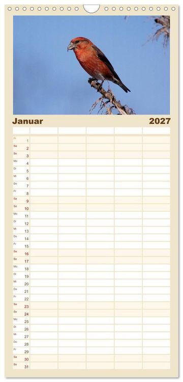 Produktbild: Familienplaner 2027 - V&ouml;gel ganz nah mit 5 Spalten (Wandkalender, 21 x 45 cm) CALVENDO